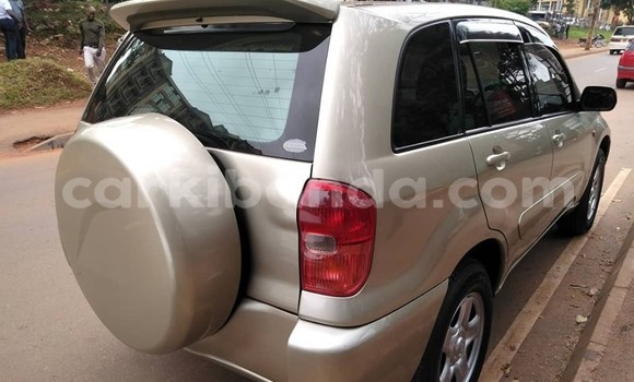 Buy Used Toyota RAV4 Beige Car in Kampala in Uganda Buy Used Toyota RAV4 Beige Car in Kampala in Uganda