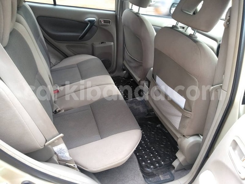 Big with watermark 65466420 1355102314637837 2119863915910266880 n