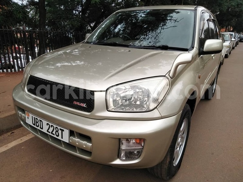 Big with watermark 64971725 1355102274637841 2081557394655019008 n