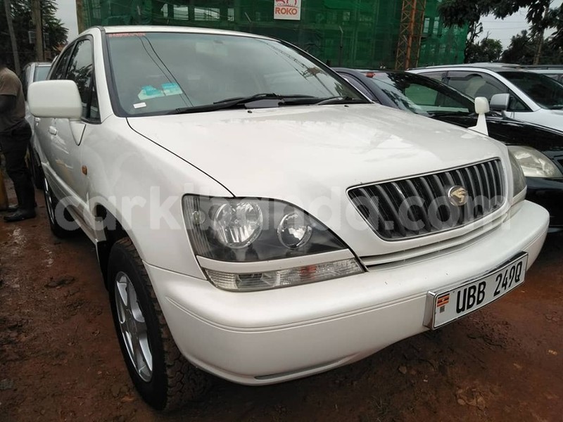 Big with watermark 64995155 1355093927972009 9012481033722920960 n