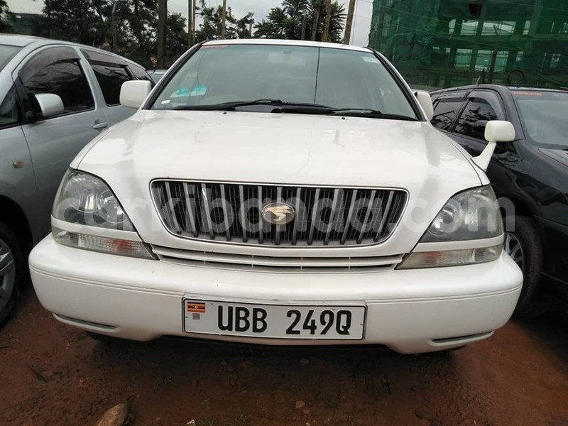 Big with watermark 65280444 1355093801305355 1982800742011895808 n