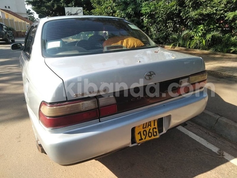 Big with watermark 65498446 1354270231387712 2151033026153283584 n