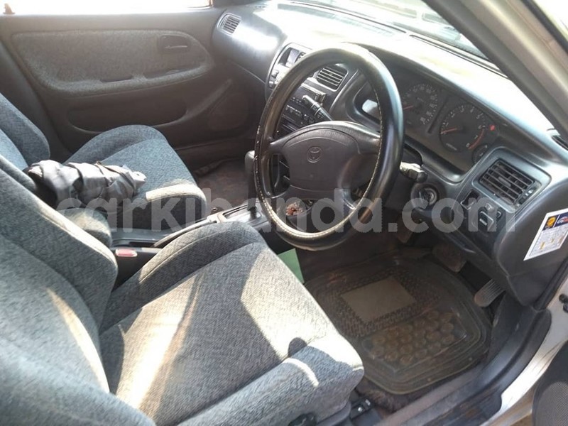 Big with watermark 65318102 1354270158054386 8106989829079695360 n