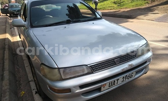 Buy Used Toyota Corolla Silver Car in Kampala in Uganda Buy Used Toyota Corolla Silver Car in Kampala in Uganda