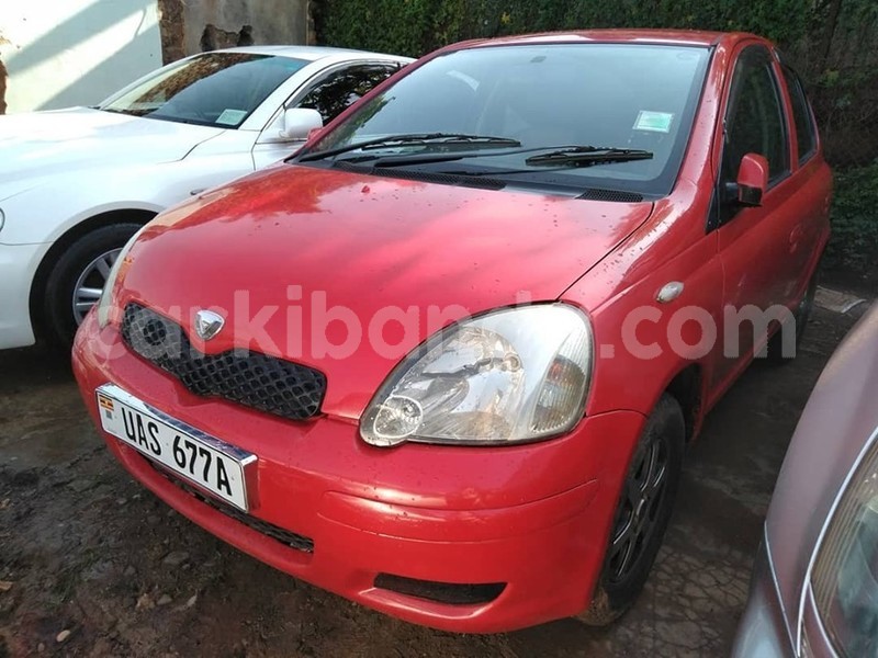 Big with watermark 65462508 1354267511387984 7078622303042404352 n 1