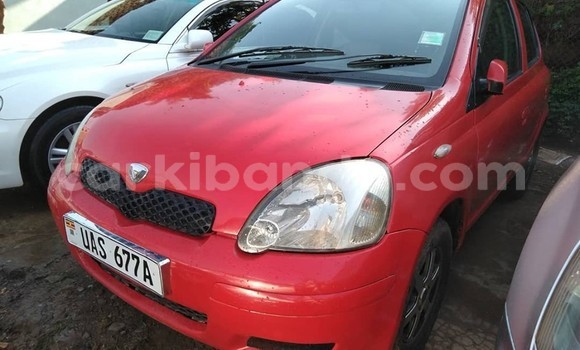Buy Used Toyota Vitz Red Car in Kampala in Uganda Buy Used Toyota Vitz Red Car in Kampala in Uganda