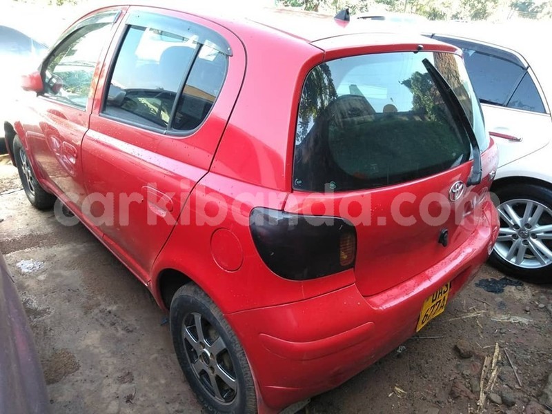 Big with watermark 65456829 1354267728054629 4723688320146604032 n