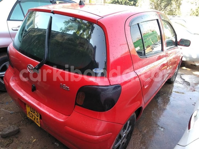 Big with watermark 65208628 1354267671387968 7686070531421896704 n