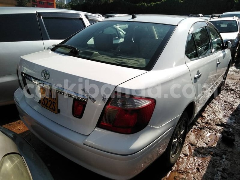 Big with watermark 65196737 1354266944721374 4852201107511836672 n