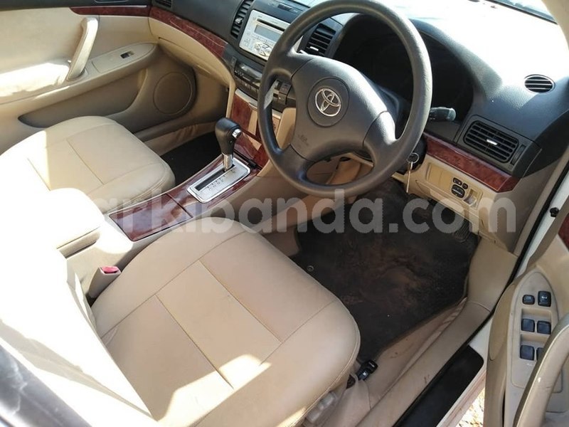 Big with watermark 65016977 1354266834721385 6519016222179196928 n