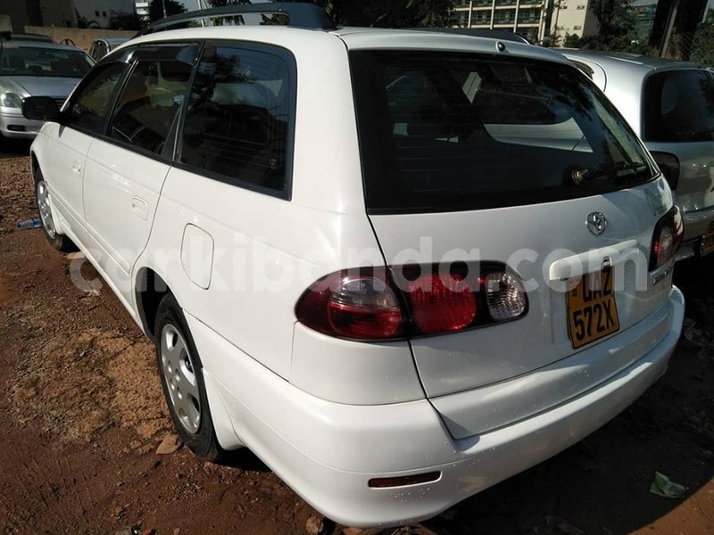 Big with watermark 65770462 1354265204721548 8163161941112520704 n