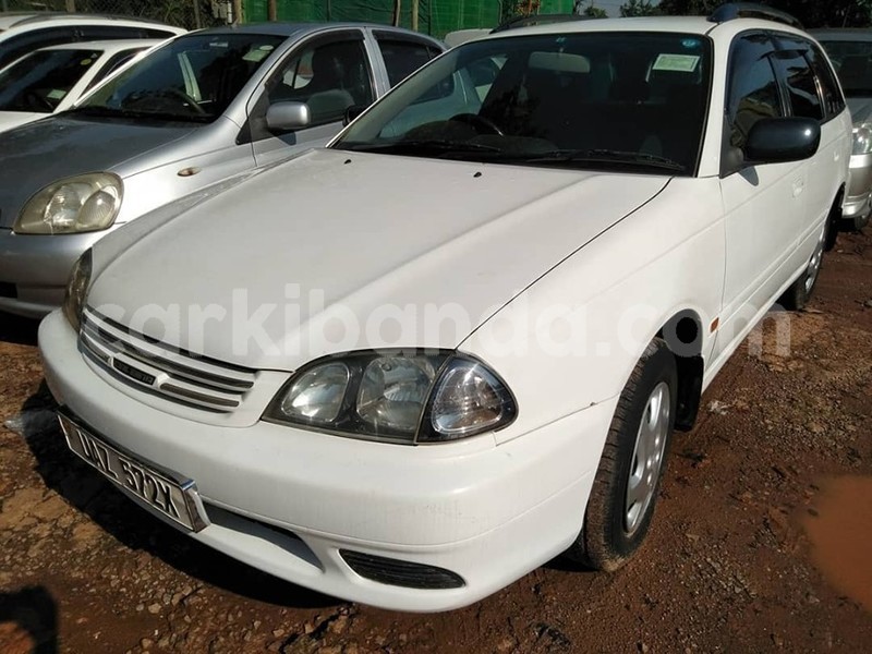 Big with watermark 65311287 1354265154721553 4310065712363208704 n