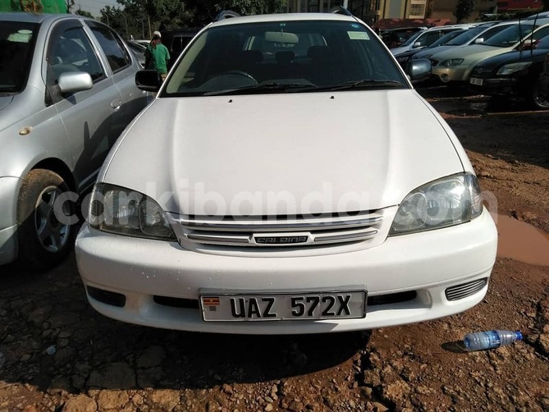 Big with watermark 65307810 1354265124721556 1194395800466096128 n