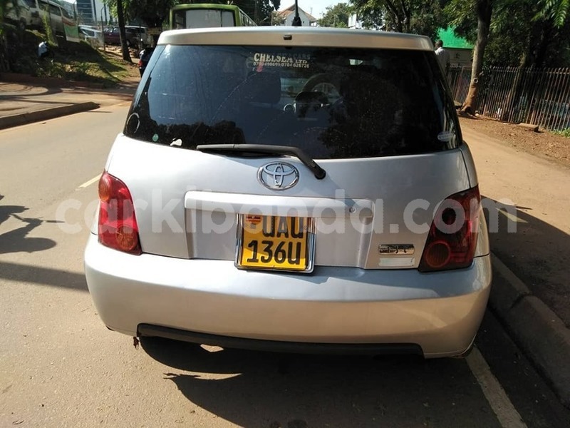 Big with watermark 64916630 1354262644721804 3516945201669079040 n