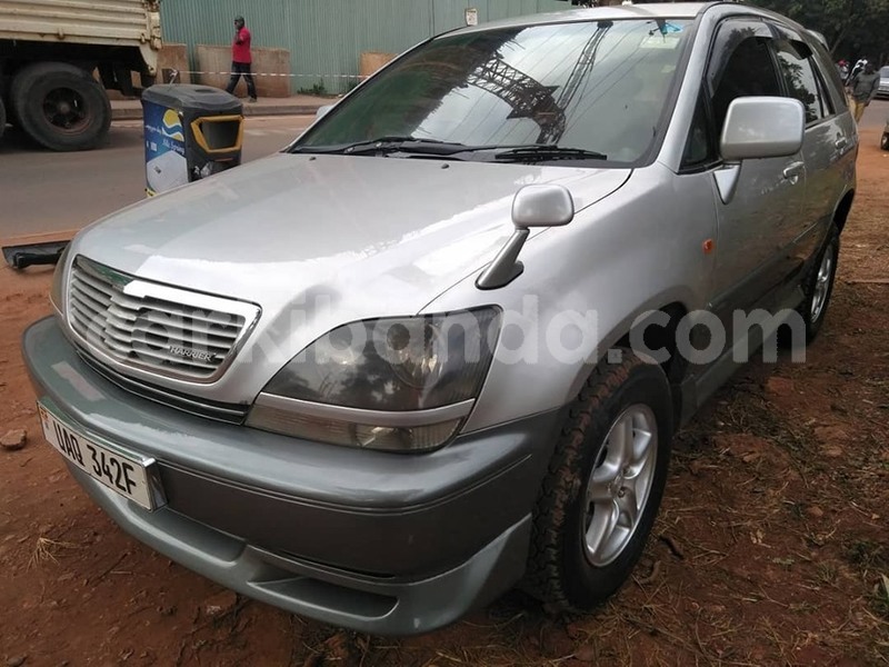 Big with watermark 65238285 1351159818365420 4964792472585633792 n