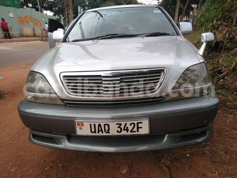 Big with watermark 64977773 1351159781698757 2733202305389166592 n