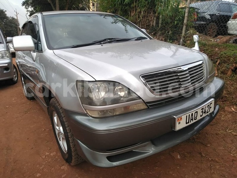 Big with watermark 64586520 1351159735032095 3638179548475949056 n