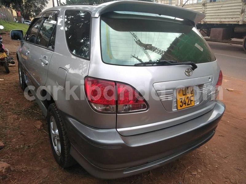 Big with watermark 64924645 1351159658365436 5341647802378223616 n