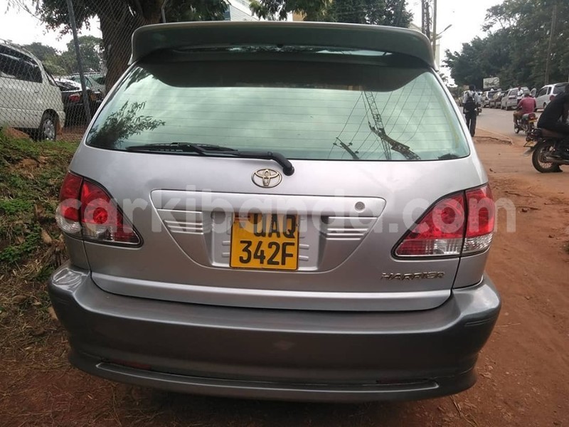 Big with watermark 65094379 1351159615032107 3253010794085875712 n