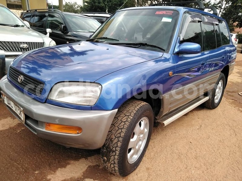 Big with watermark 64850077 1351158148365587 2572044459449516032 n