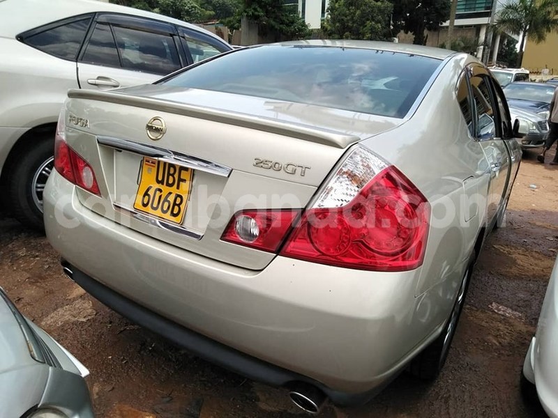 Big with watermark 64992140 1351156818365720 7723241003762581504 n