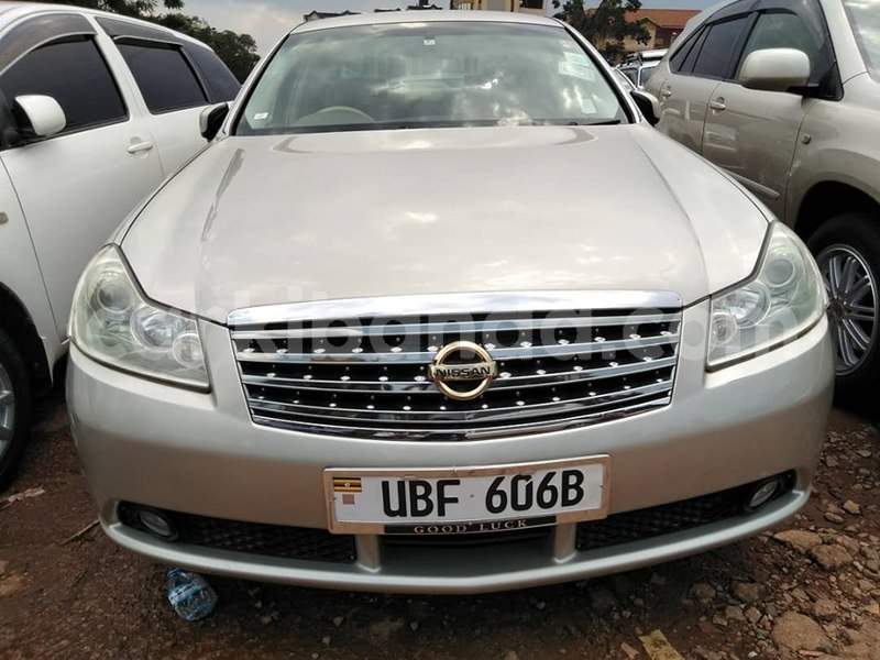 Big with watermark 64934565 1351156785032390 3909229011766607872 n