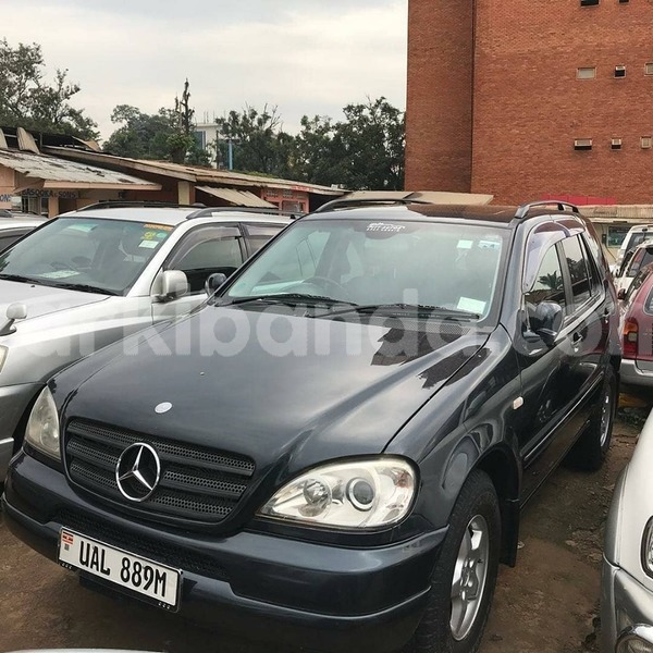 Big with watermark 64365395 1349328465215222 5826615048218345472 n