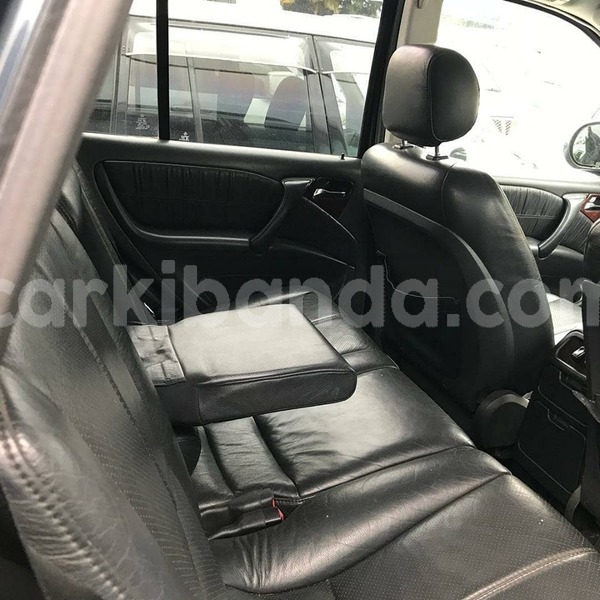 Big with watermark 64281368 1349328588548543 8161771454040375296 n