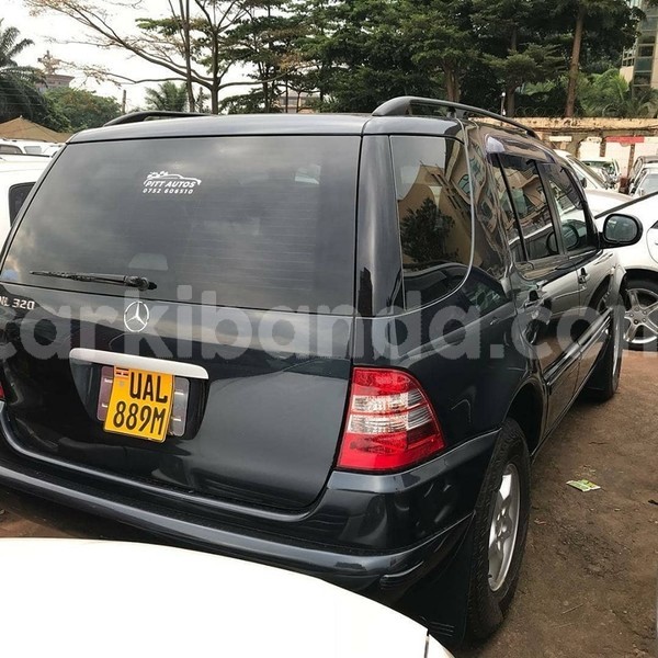 Big with watermark 64396626 1349328508548551 7641224196609015808 n