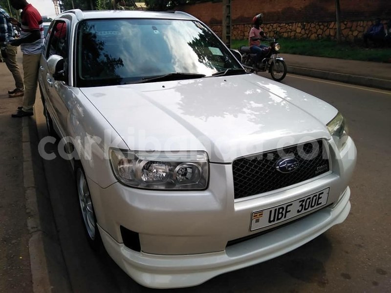 Big with watermark 64316932 1343781169103285 5883559051773607936 n