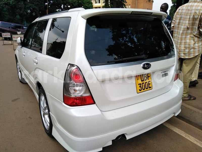 Big with watermark 64317604 1343781082436627 5699009980716285952 n