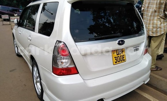 Buy Used Subaru Forester Silver Car in Kampala in Uganda Buy Used Subaru Forester Silver Car in Kampala in Uganda