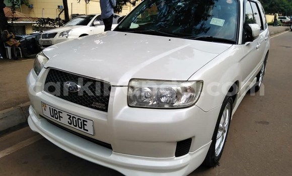 Buy Used Subaru Forester Silver Car in Kampala in Uganda Buy Used Subaru Forester Silver Car in Kampala in Uganda