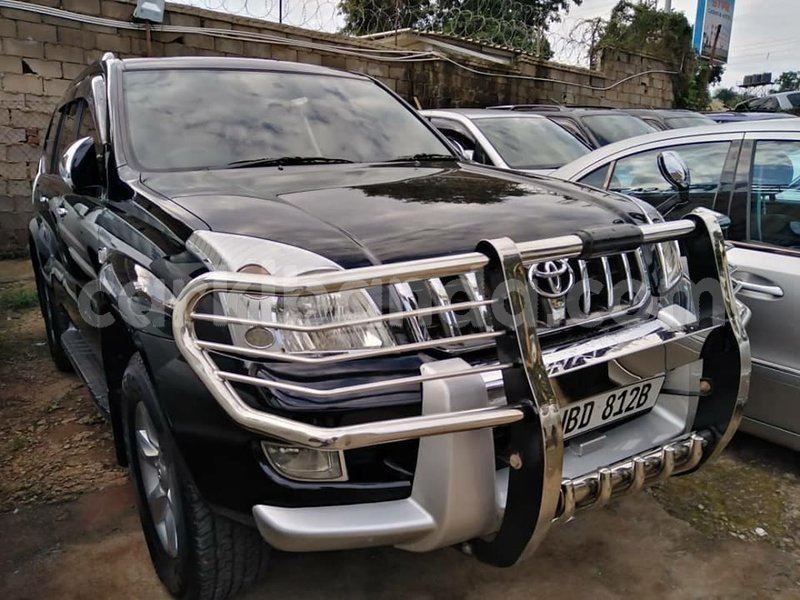 Big with watermark 64286465 1343780009103401 5966463675911897088 n