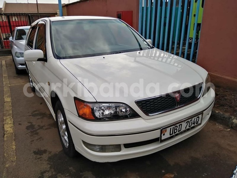 Big with watermark 62313374 1343761769105225 8423580655970942976 n