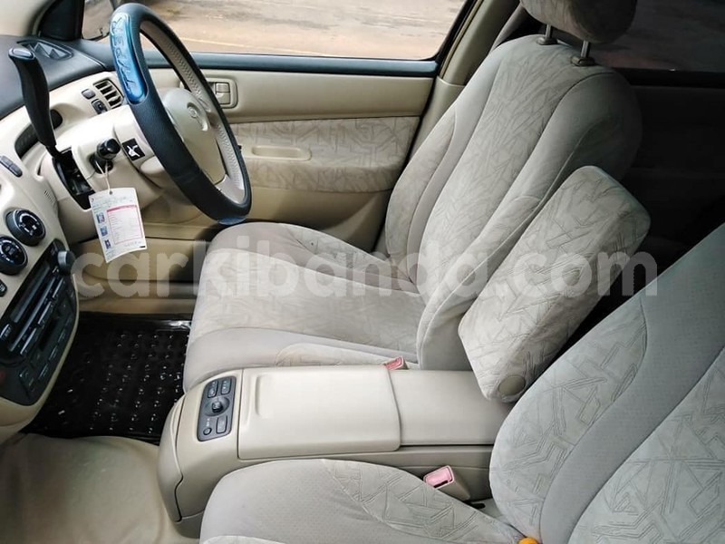 Big with watermark 62466546 1343761972438538 5454110808059412480 n