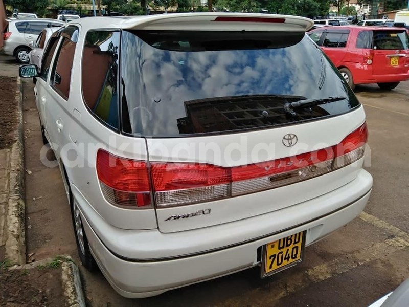 Big with watermark 62237603 1343761932438542 2370277714906054656 n