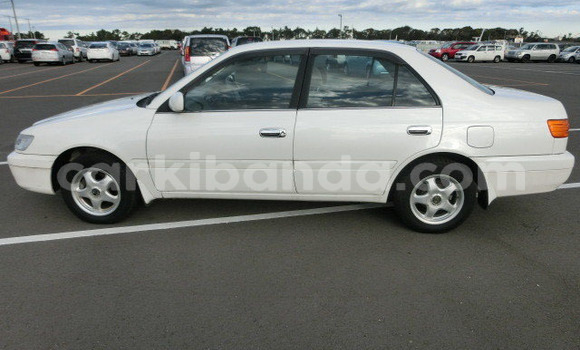 Nunua Ilio tumika Toyota Premio Nyeupe Gari ndani ya Kampala nchini Uganda Nunua Ilio tumika Toyota Premio Nyeupe Gari ndani ya Kampala nchini Uganda