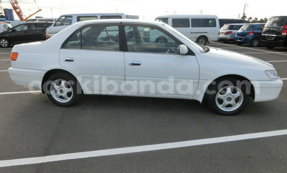 Nunua Ilio tumika Toyota Premio Nyeupe Gari ndani ya Kampala nchini Uganda Nunua Ilio tumika Toyota Premio Nyeupe Gari ndani ya Kampala nchini Uganda