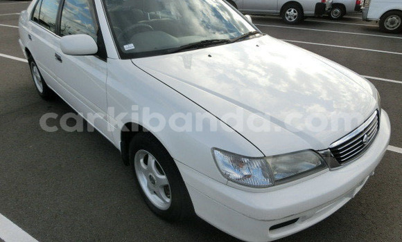 Nunua Ilio tumika Toyota Premio Nyeupe Gari ndani ya Kampala nchini Uganda Nunua Ilio tumika Toyota Premio Nyeupe Gari ndani ya Kampala nchini Uganda