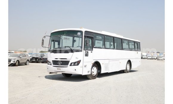 Buy Import Tata Xenon White Car in Import - Dubai in Uganda