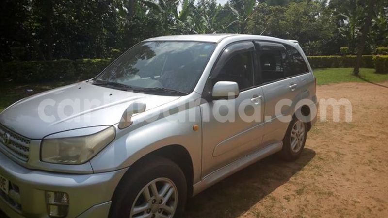 Big with watermark 14361282 1124790234235133 2594489126237502130 o