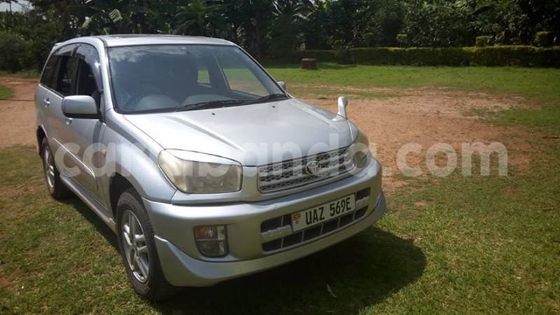 Big with watermark 14372123 1124789894235167 4362249433158045291 o