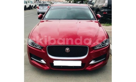 Buy Import Jaguar XE Red Car in Import - Dubai in Uganda