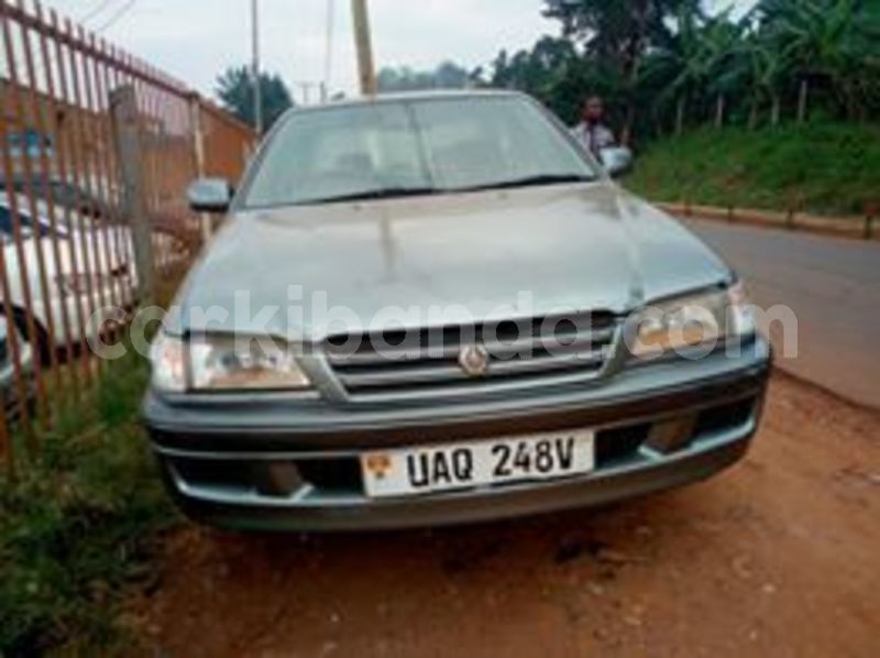 Big with watermark 67138155 442435356599842 5714743532548259840 n