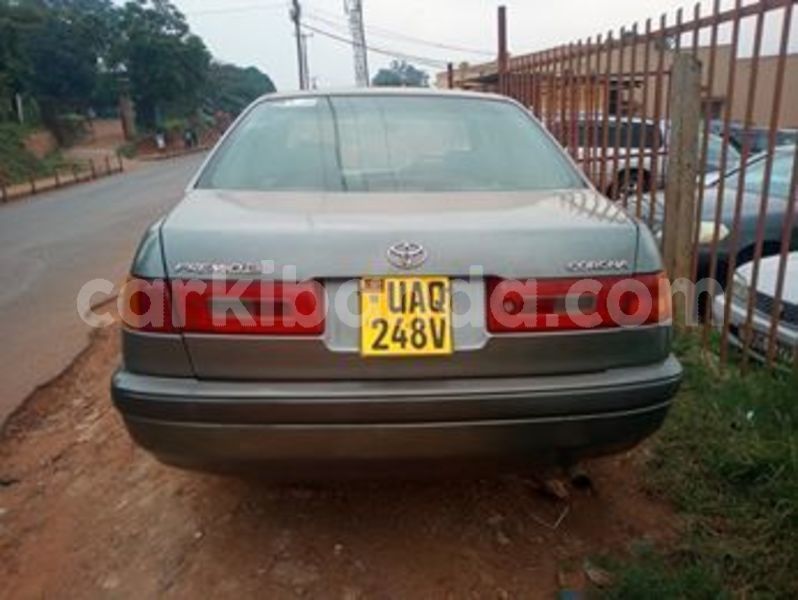 Big with watermark 67064851 442435319933179 3118063394091958272 n