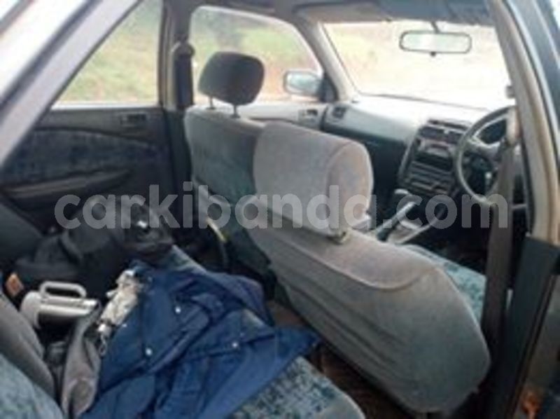 Big with watermark 67249255 442435393266505 6135751486920982528 n