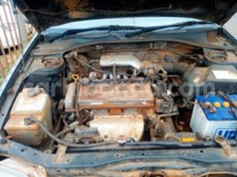 Big with watermark 66725421 442435376599840 6287223142226067456 n