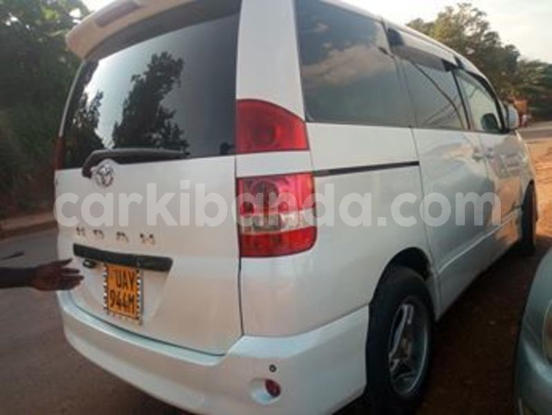 Big with watermark 66899644 438063207037057 2691356576463192064 n