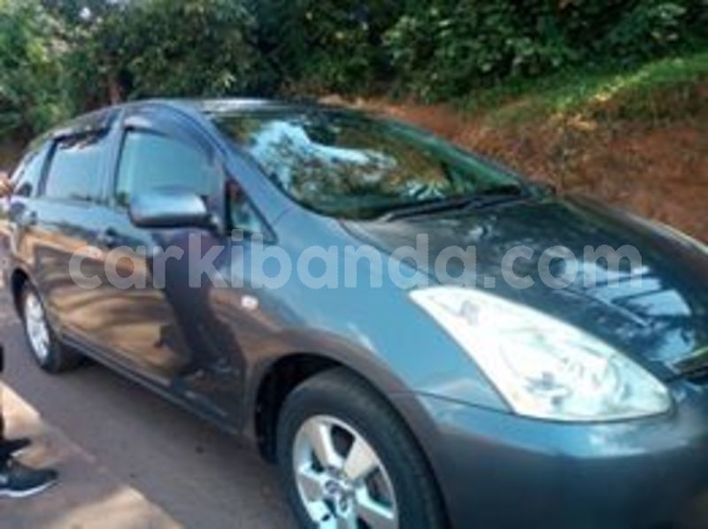 Big with watermark 64875039 437410210435690 2957015864387305472 n